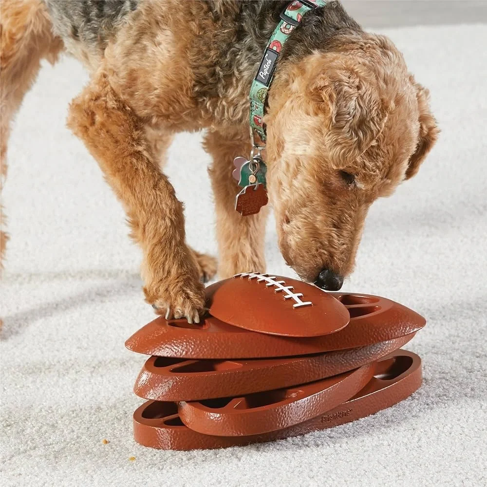 💞HP💞 Brightkins Touchdown Time Treat Puzzle